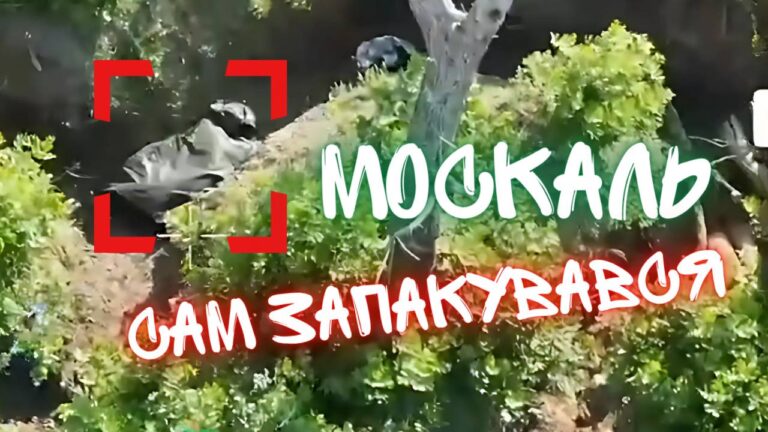 Зразковий окупант