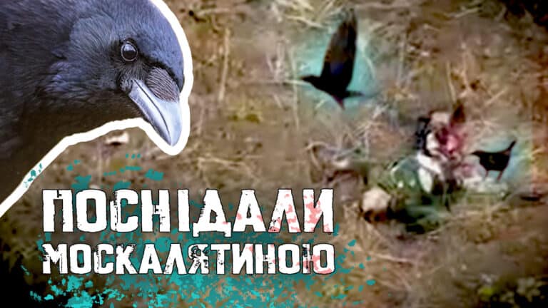 Російський тартар